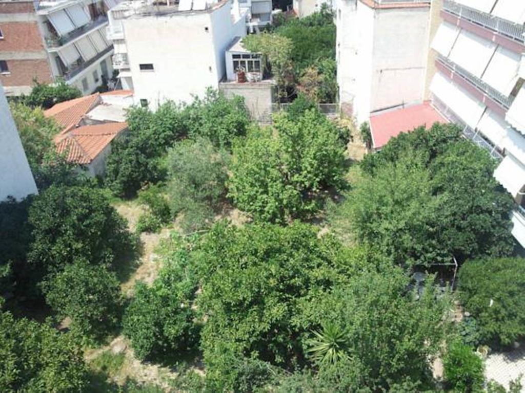 Hotel Foivos Loutra Edipsou  Pokoj fotografie